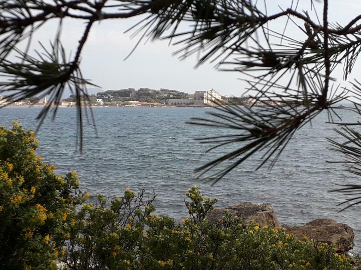 Bandol Nature Et Loisirs: Parking/ Piscine Eksteriør bilde